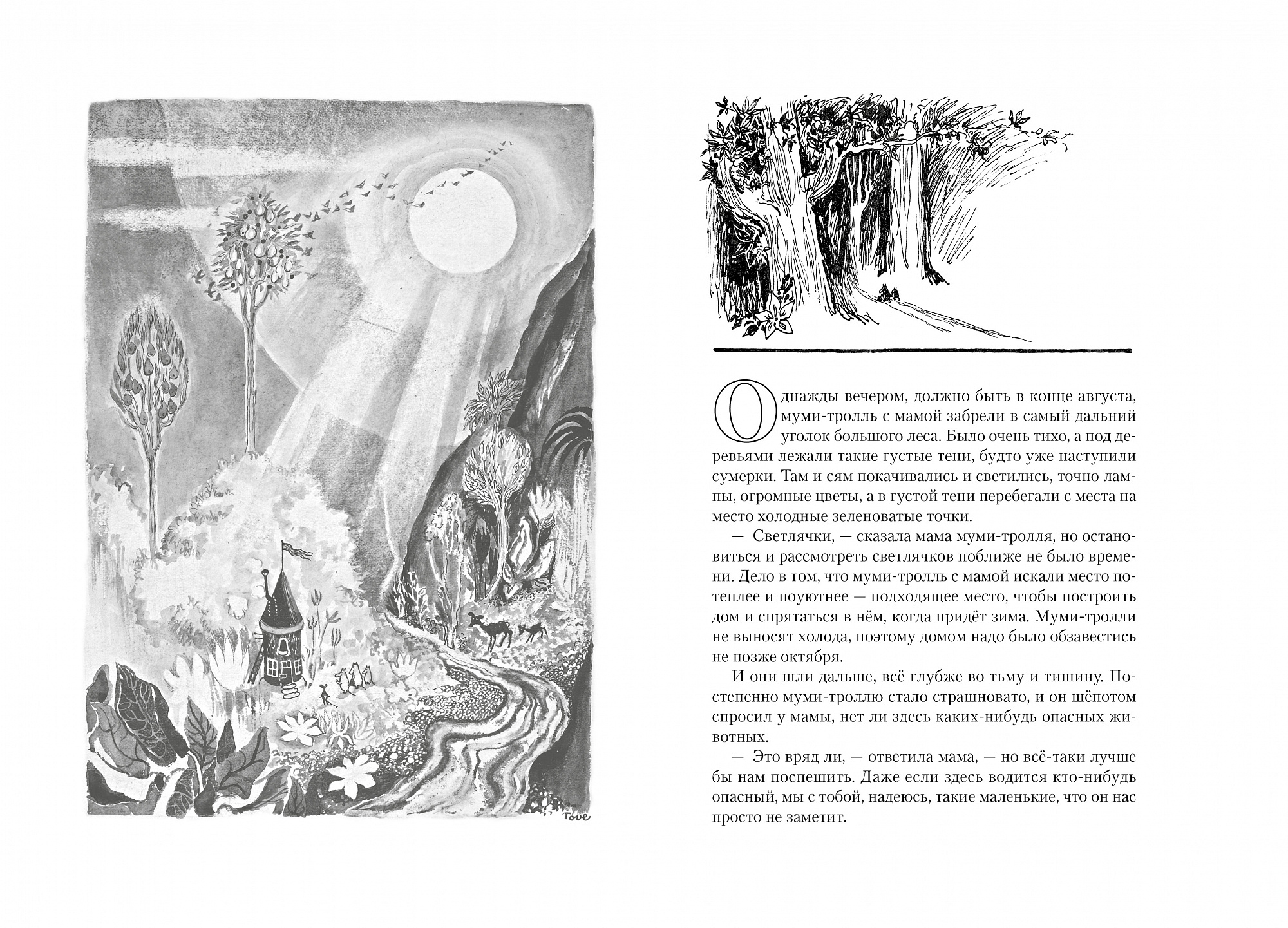 Янссон Т. Всё о Муми-троллях. Книга 1 (серия Всё о...) — изображение 2