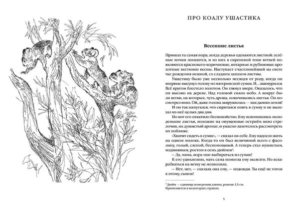 Про коалу Ушастика, утконоса Тихоню и других — изображение 2