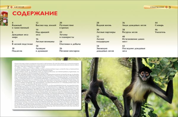 Джунгли. Детская энциклопедия — изображение 2