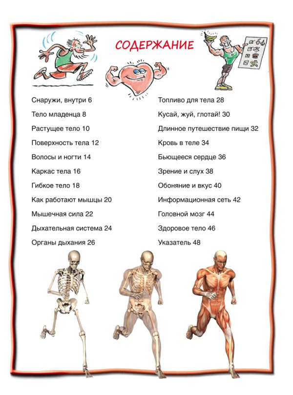 Тело человека (100 фактов) — изображение 2