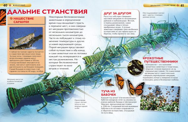 Животные. Детская энциклопедия — изображение 3