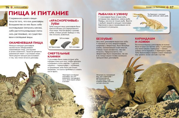 Динозавры. Детская энциклопедия — изображение 5