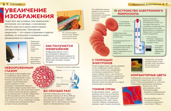 Микромир. Детская энциклопедия — изображение 3