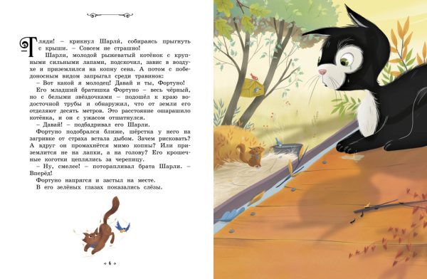 Шмитт Э.-Э. Котёнок, который всего боялся. Сказки премудрой совы — изображение 2