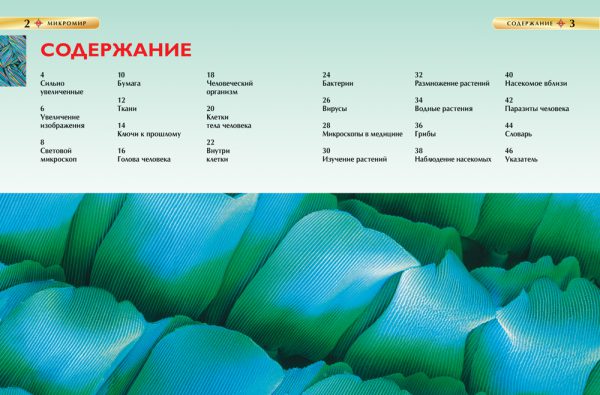 Микромир. Детская энциклопедия — изображение 2