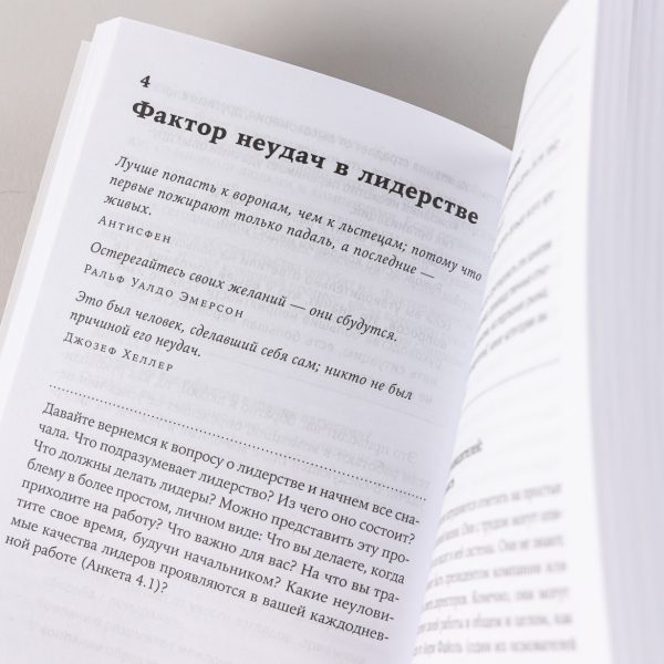 Манфред Кетс де Врис. Мистика лидерства. Развитие эмоционального интеллекта (Покетбук) — изображение 3
