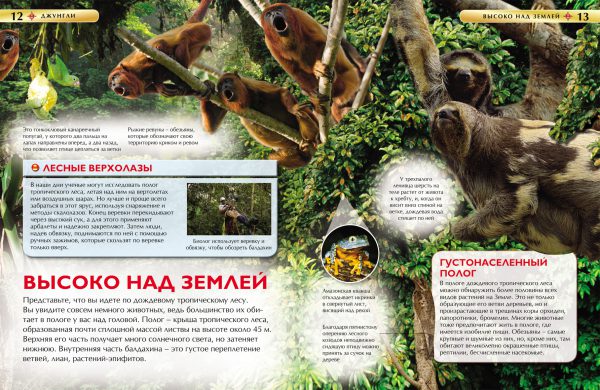Джунгли. Детская энциклопедия — изображение 3
