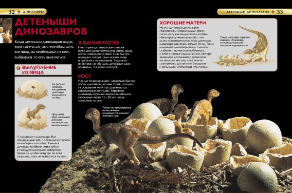 Динозавры. Детская энциклопедия — изображение 4