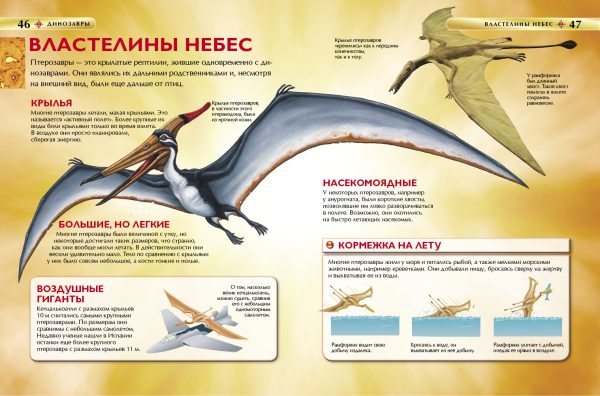 Динозавры. Детская энциклопедия — изображение 3