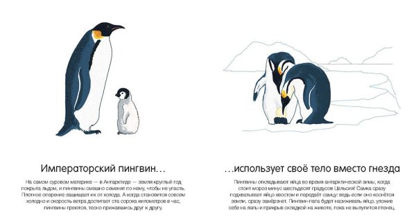 Где они живут? — изображение 3