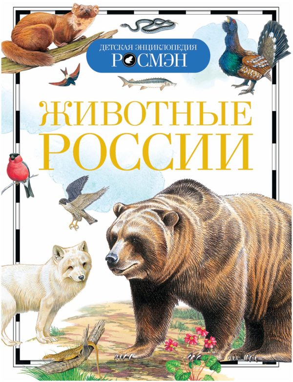 Животные России (серия Детская Энциклопедия Росмэн)