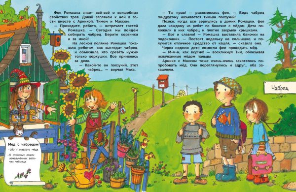 Ригер А. В гостях у феи Ромашки — изображение 3