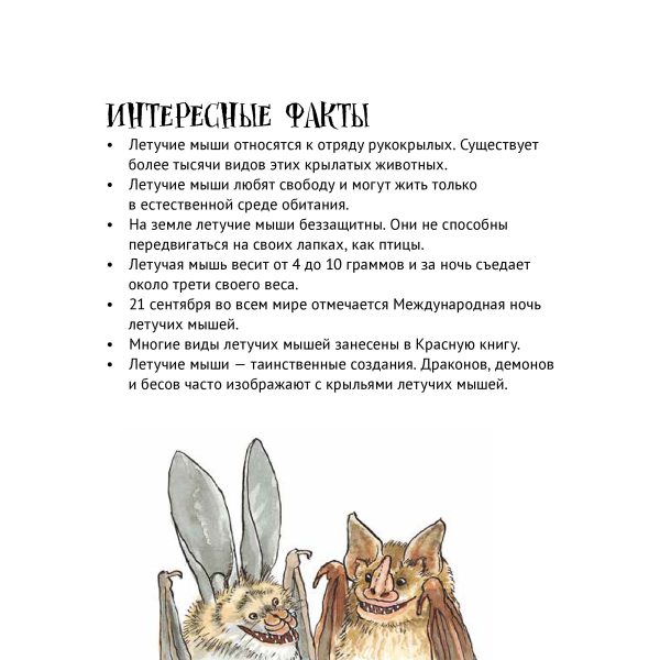 Мартин Эмтенес. Удивительные летучие мыши. — изображение 5