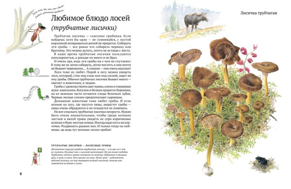 Стефан Каста, Бу Мосберг. Софи в мире грибов — изображение 3