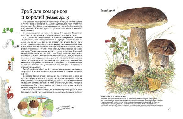 Стефан Каста, Бу Мосберг. Софи в мире грибов — изображение 4