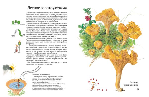Стефан Каста, Бу Мосберг. Софи в мире грибов — изображение 5