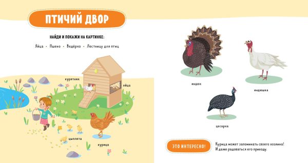 Главная книга малыша. Домашние животные. — изображение 2