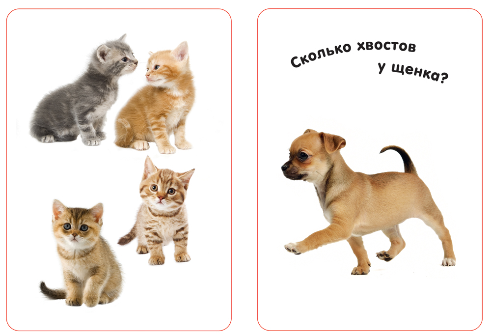 Изучаем цифры (Развивающие карточки, 3+). Умные карточки — изображение 2