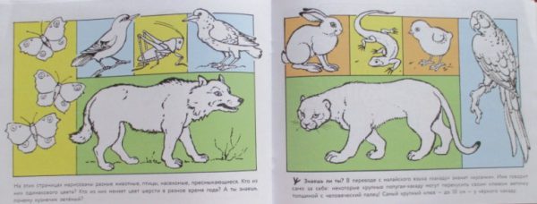 Альбом для раскрашивания. Кошка мяукает, поросенок хрюкает. — изображение 3