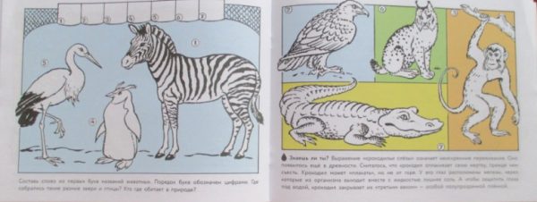 Альбом для раскрашивания. Кошка мяукает, поросенок хрюкает. — изображение 4