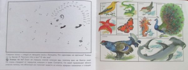 Альбом для раскрашивания. Кошка мяукает, поросенок хрюкает. — изображение 5