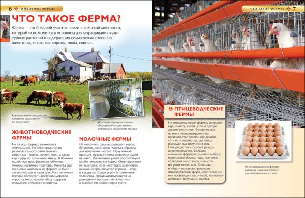 Животные фермы. Детская энциклопедия. — изображение 3