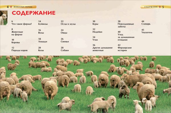 Животные фермы. Детская энциклопедия. — изображение 4