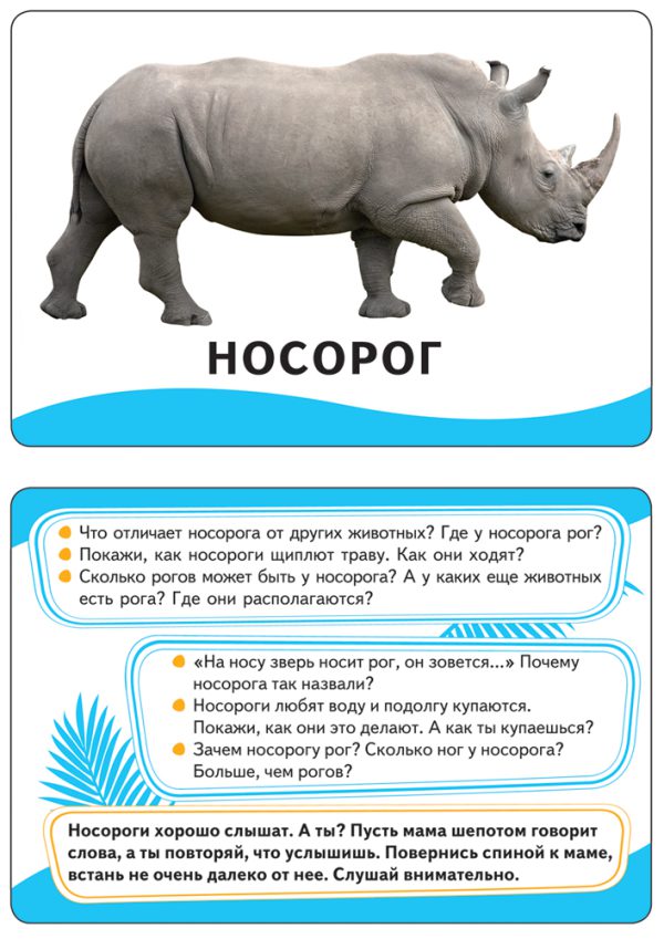 Животные (Развивающие карточки 0+). Умные карточки — изображение 2