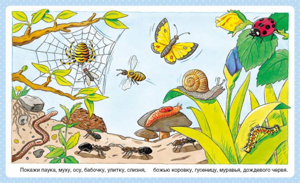 Энциклопедия для малышей.  Животные (пухлая обл., картон.страницы) — изображение 4