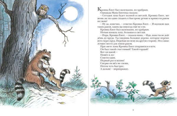 Муур Лилиан. Крошка енот и тот, кто сидит в пруду. Для детей 3-5 лет. — изображение 2