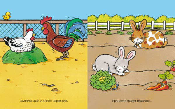 На ферме (с наклейками) — изображение 2