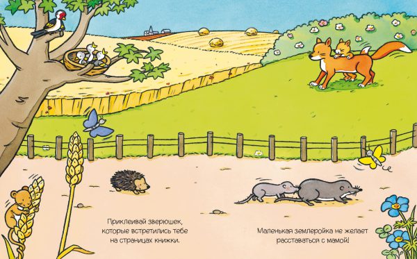 Животные (с наклейками) — изображение 2