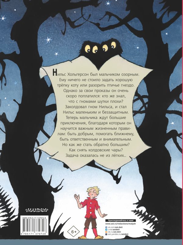 С.Лагерлеф. Чудесное путешествие Нильса с дикими гусями. — изображение 2
