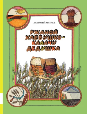 Митяев А. Ржаной хлебушко - калачу дедушка.