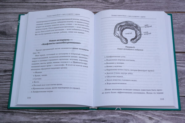 Доказательная психосоматика: факты и научный подход. Очень полезная книга для всех, кто думает о здоровье — изображение 3