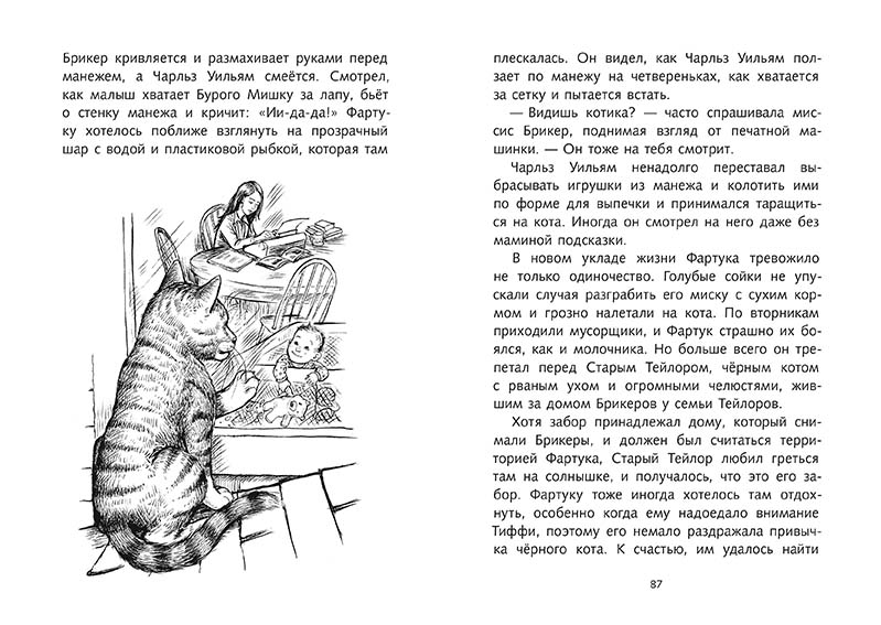 Клири Беверли. Кот Фартук. — изображение 2