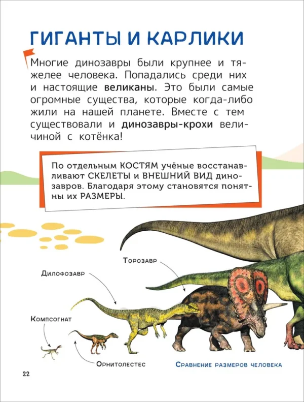 Динозавры. Энциклопедия для первого чтения с крупными буквами. — изображение 6