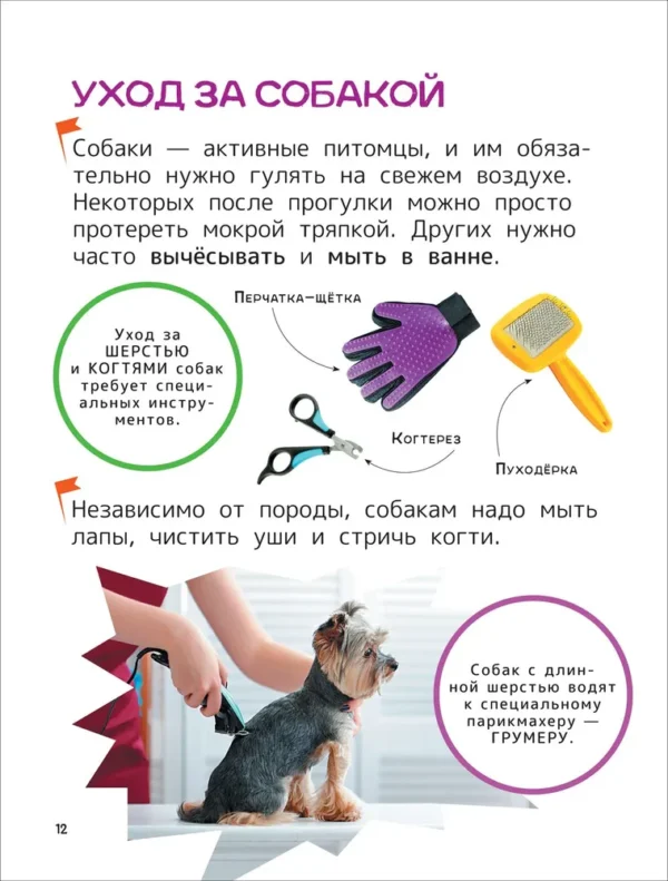 Домашние любимцы. Энциклопедия для первого чтения с крупными буквами. — изображение 6