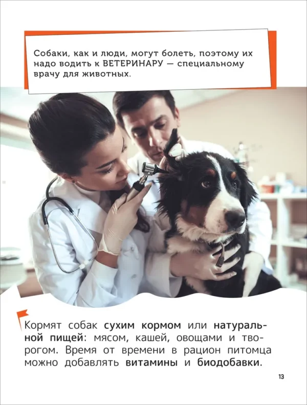 Домашние любимцы. Энциклопедия для первого чтения с крупными буквами. — изображение 7