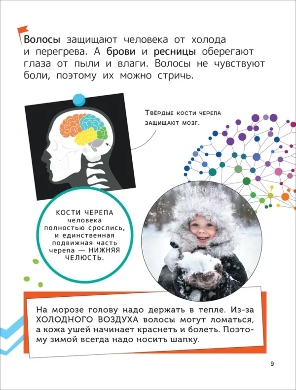 Человек. Энциклопедия для первого чтения с крупными буквами. — изображение 6