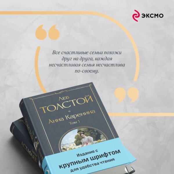 Л.Толстой. Анна Каренина (комплект из 2 книг с крупным шрифтом) — изображение 4