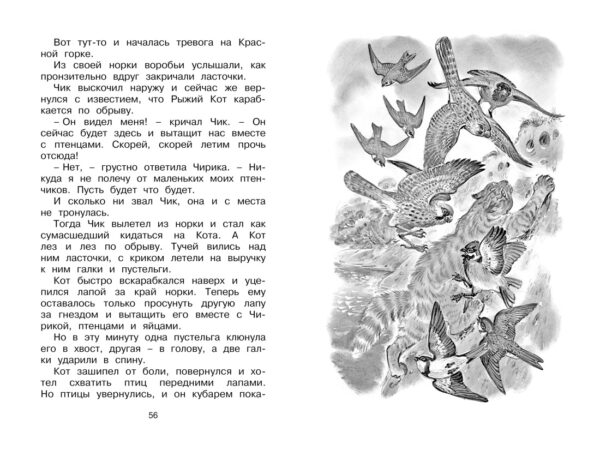 Бианки В. Как Лис Ежа перехитрил. — изображение 6