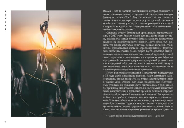 Японизм. Маленькая книга японской жизненной мудрости. — изображение 4