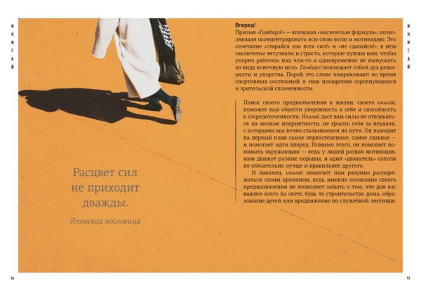 Японизм. Маленькая книга японской жизненной мудрости. — изображение 7