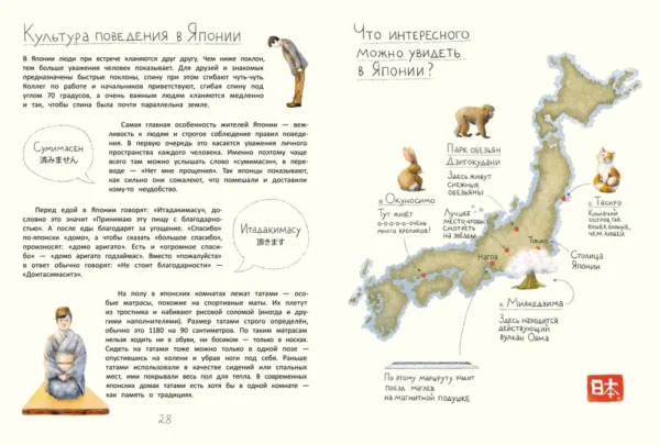 Летяга Такуми в Японии. — изображение 3