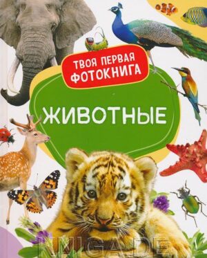 Животные. Твоя первая фотокнига