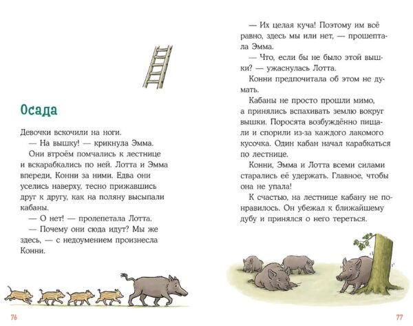 Беме Юлия: Приключения Конни в ночном лесу — изображение 3