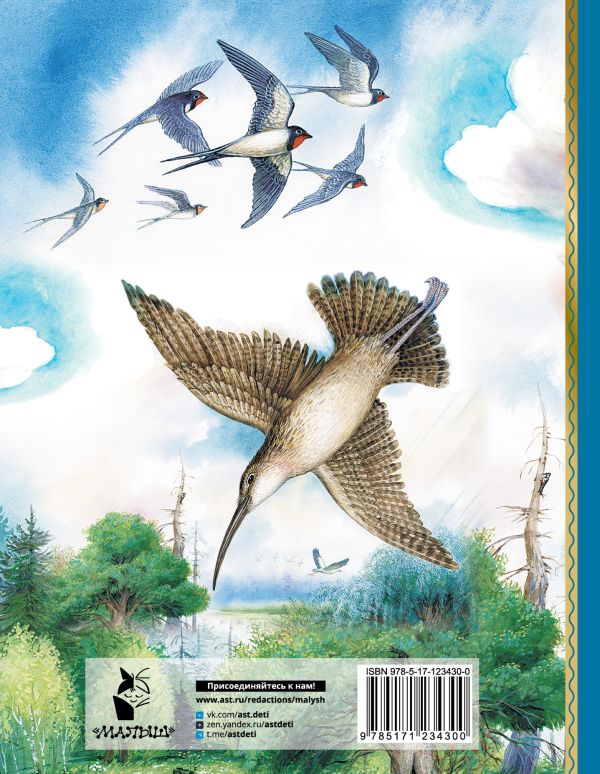 Бианки В.В. Мышонок Пик. Сказки о животных — изображение 2