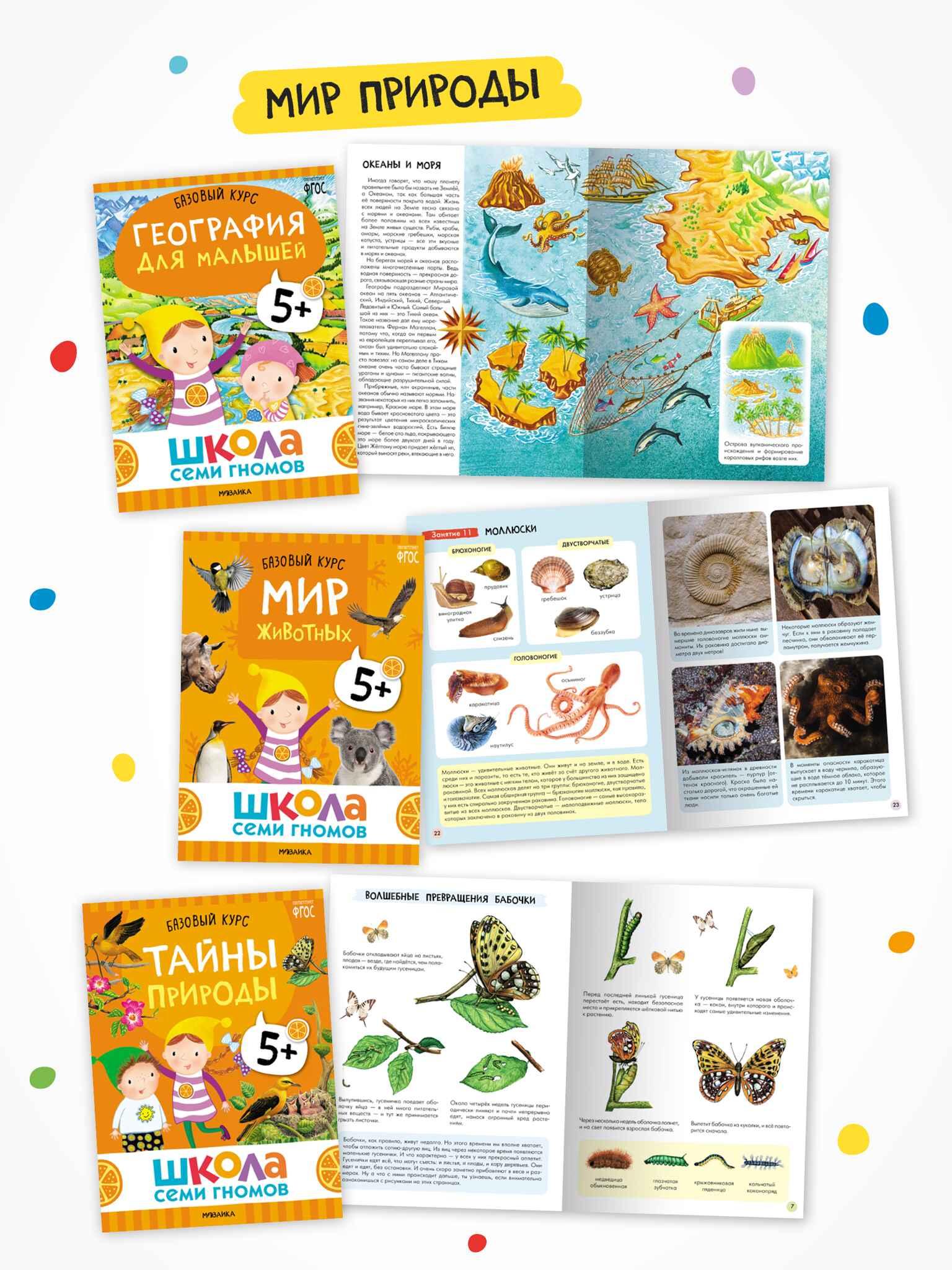 Школа семи гномов. Годовой базовый курс. Комплект 5+. — изображение 5