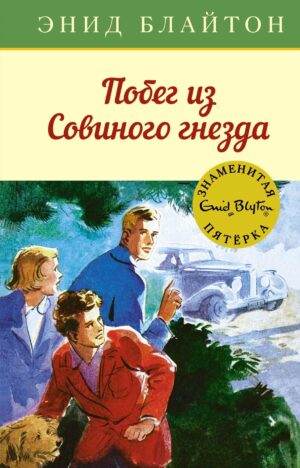 Блайтон Э. Побег из Совиного гнезда